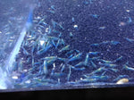 Neocaridina var. Blue Velvet